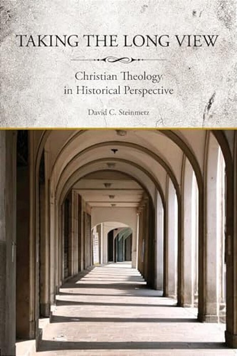 Taking The Long View: Christian Theology In Historical Perspective-..