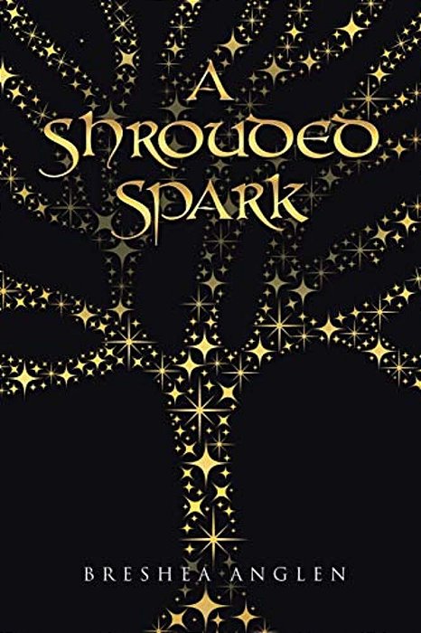 A Shrouded Spark-..