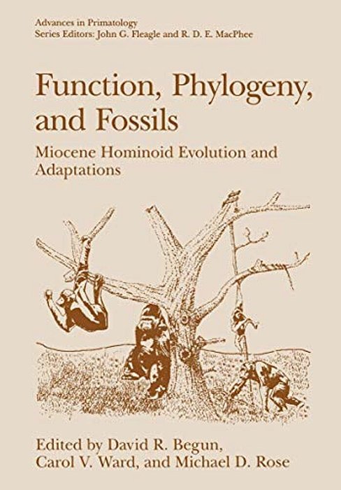 Function, Phylogeny, And Fossils: Miocene Hominoid Evolution And Adaptations-..