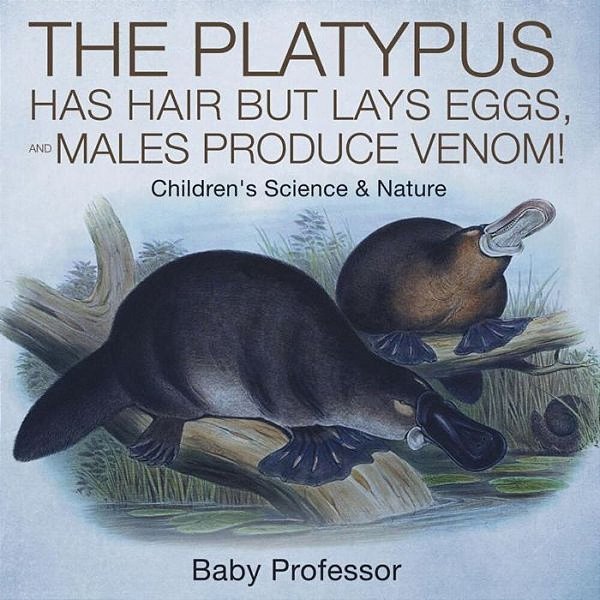 The Platypus Has Hair But Lays Eggs, And Males Produce Venom! Children's Science & Nature-..