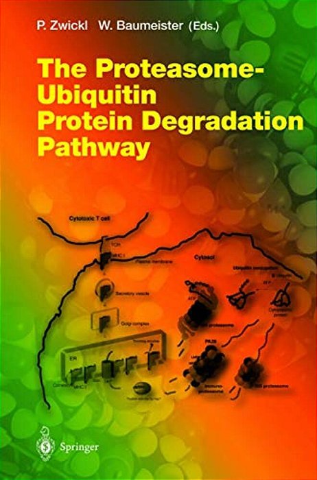 The Proteasome -- Ubiquitin Protein Degradation Pathway-..