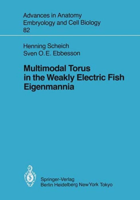 Multimodal Torus In The Weakly Electric Fish Eigenmannia-..