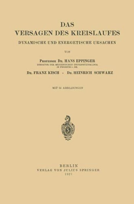Das Versagen Des Kreislaufes: Dynamische Und Energetische Ursachen-..