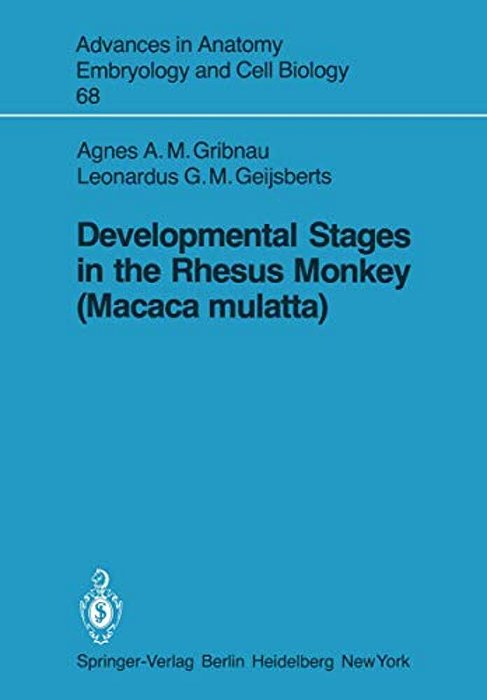 Developmental Stages In The Rhesus Monkey (Macaca Mulatta)-..