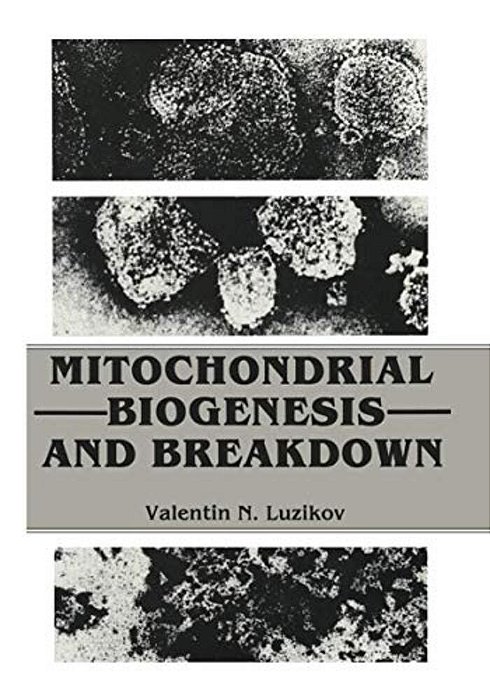 Mitochondrial Biogenesis And Breakdown-..