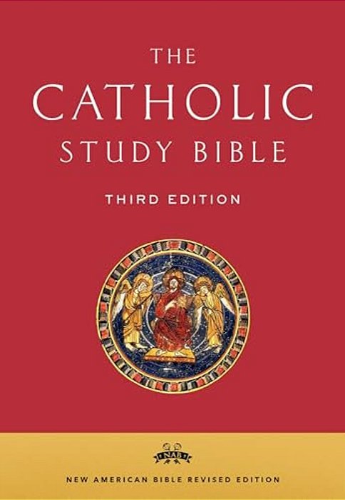 Catholic Study Bible-Nab-..