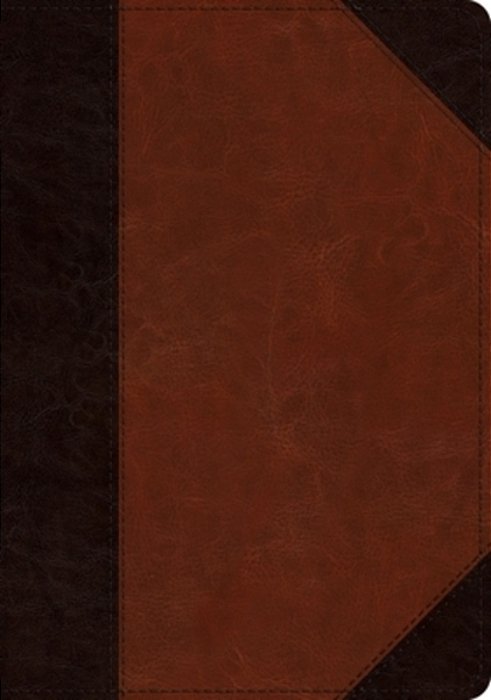 Esv Large Print Wide Margin Bible (Trutone, Brown/Cordovan, Portfolio Design)-..