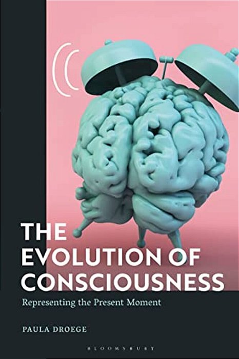 The Evolution Of Consciousness: Representing The Present Moment-..