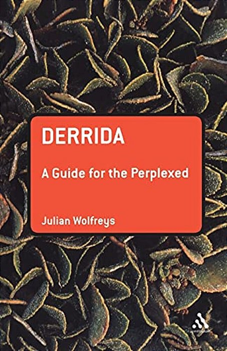 Derrida: A Guide For The Perplexed-..