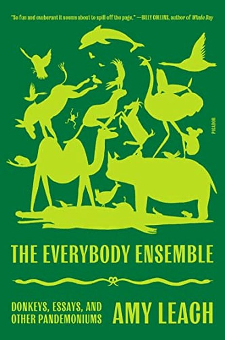 Everybody Ensemble-..