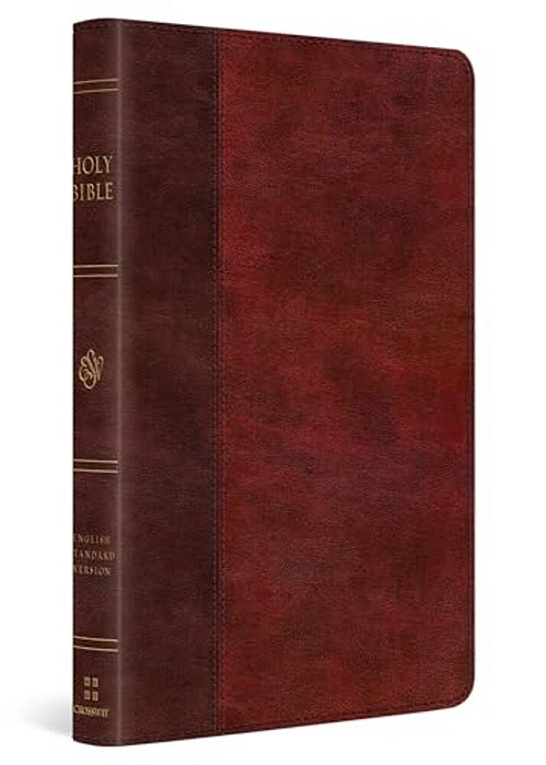 Esv Large Print Thinline Bible (Trutone, Burgundy/Red, Timeless Design)-..