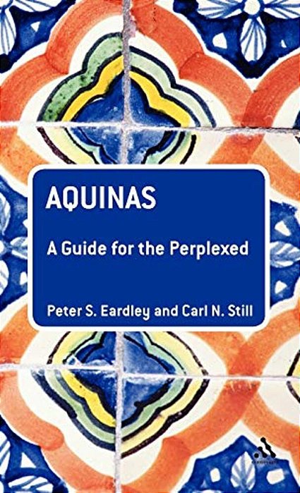 Aquinas: A Guide For The Perplexed-..
