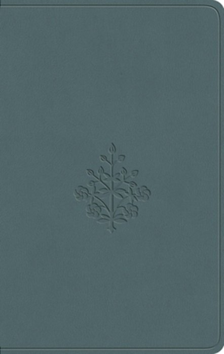 Esv Value Compact Bible (Trutone, Paris Sky, Branch Design)-..