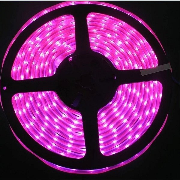 Fita led 5050 rolo 5m 300 leds rosa IP65 a prova d'água.