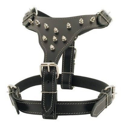 Peitoral Couro Pitbull Com Spiker N.3