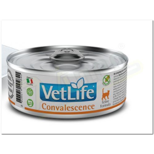 Vet Life Nat Fel Wet Convalescence 0,085kg