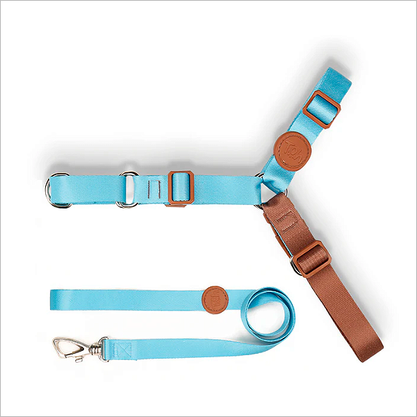 Conjunto Peitoral Antipuxão e Guia M Azul – Toh
