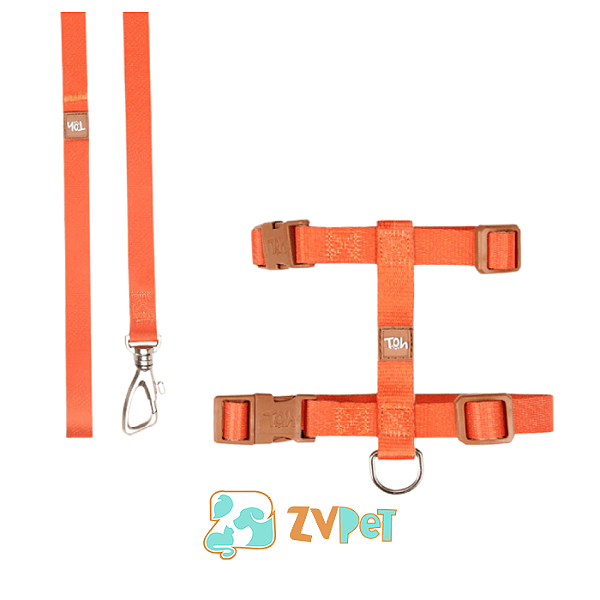 Conjunto Peitoral H Basic Pp Laranja-caqui - Toh