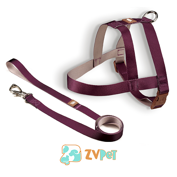 Conjunto Peitoral Trad. Basic P Bordo-caqui - Toh