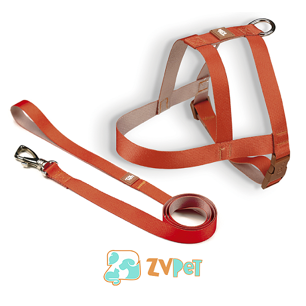 Conjunto Peitoral Trad. Basic P Laranja-caqui - Toh