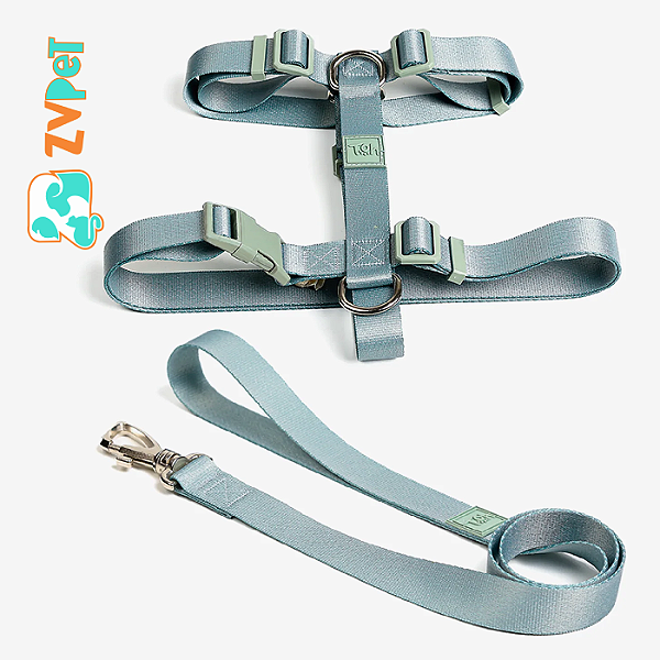 Conjunto Peitoral H E Guia G Alga - Toh