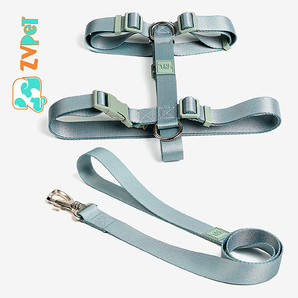 Conjunto Peitoral H E Guia M Alga - Toh