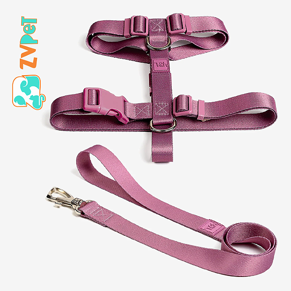 Conjunto Peitoral H E Guia Pp Bruma - Toh