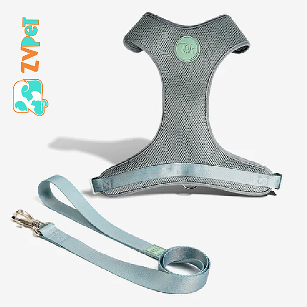 Conjunto Peitoral Mesh H E Guia Pp Alga - Toh