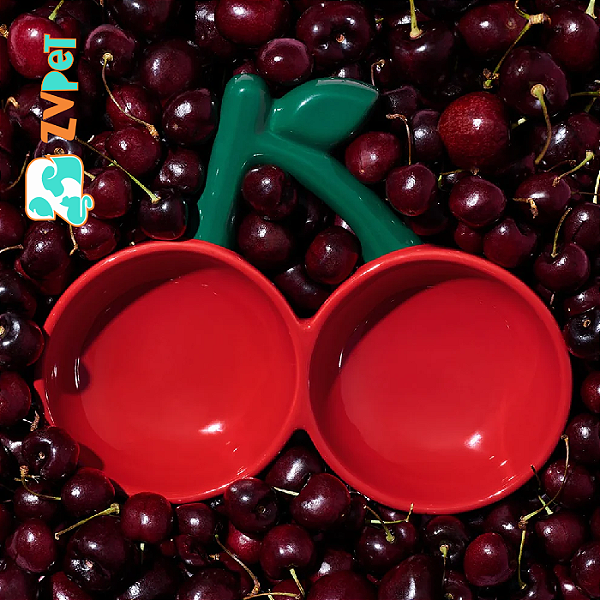 Comedouro Vetreska Ceramica Em Formato Cereja Cherry Pet Bowl