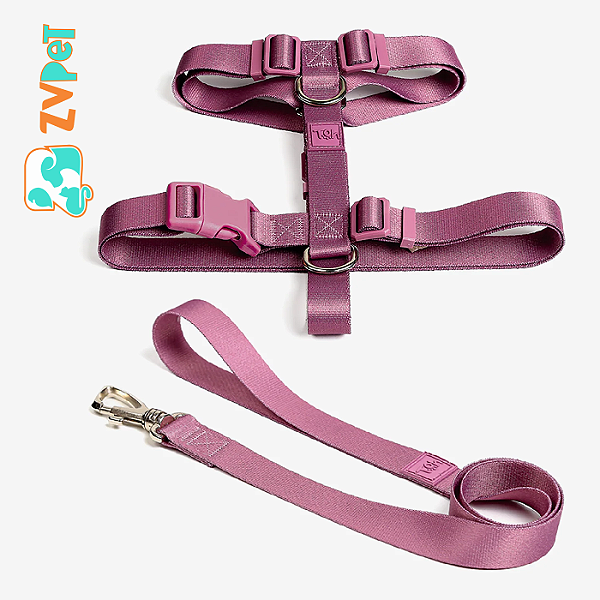 Conjunto Peitoral H E Guia M Bruma - Toh