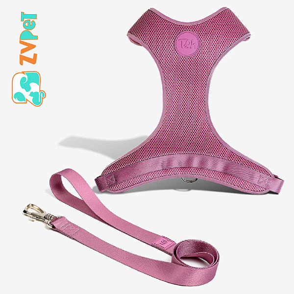 Conjunto Peitoral Mesh H E Guia Pp Bruma - Toh