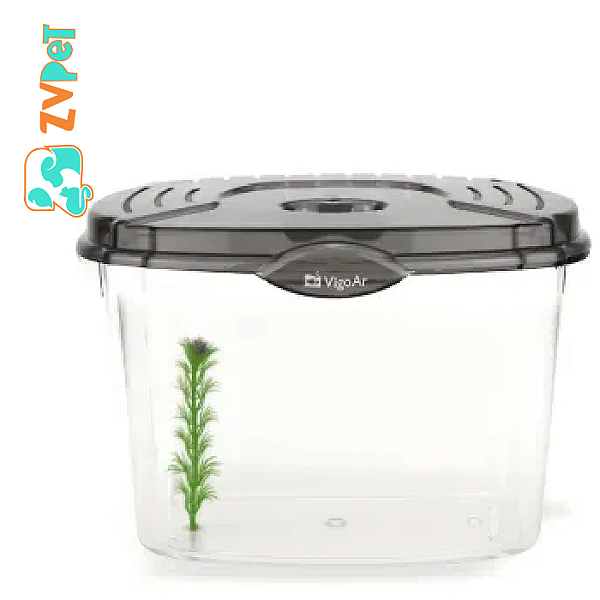 Beteira Betta Flex Classic 4,2lt Fume