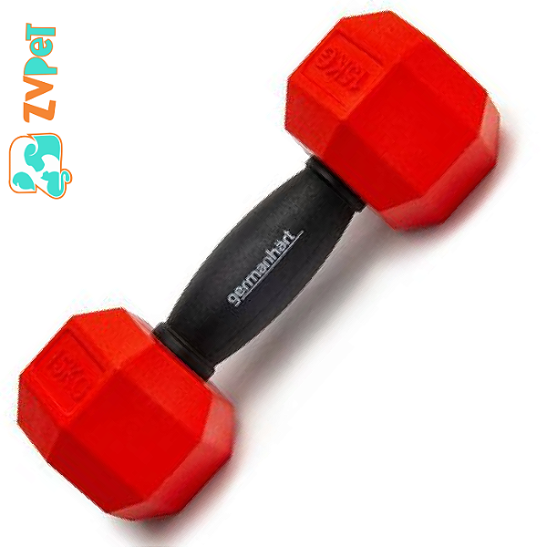 Brinquedo Germahart Haltere - Hautere (s) Para Caes