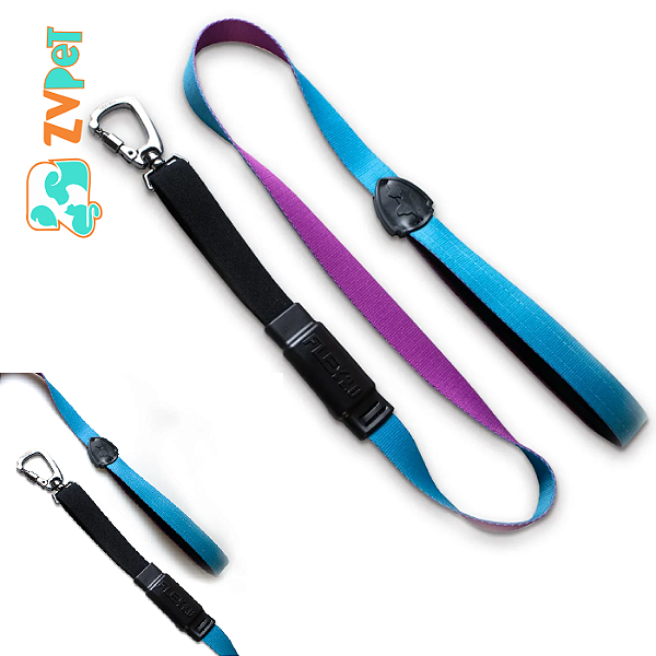 Guia Flex 2.0 Pretty Para Caes - Curta - Freefaro