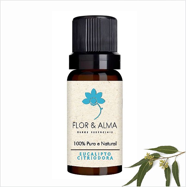 Óleo Essencial Eucalipto Puro e Natural 10 ml