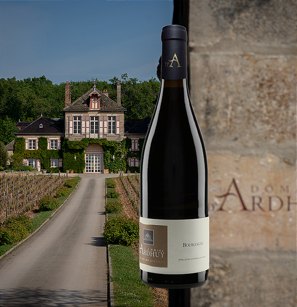 Domaine D'Ardhuy - Bourgogne Pinot Noir - Aop Bourgogne - 2022
