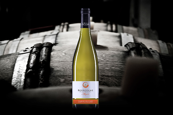 Famille Brocard -  Bourgogne Aligoté - Blanc - 2022