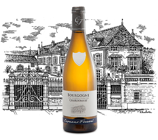 Domaine Capuano Ferreri - Bourgogne Chardonnay - Blanc - 2022 - 0,75