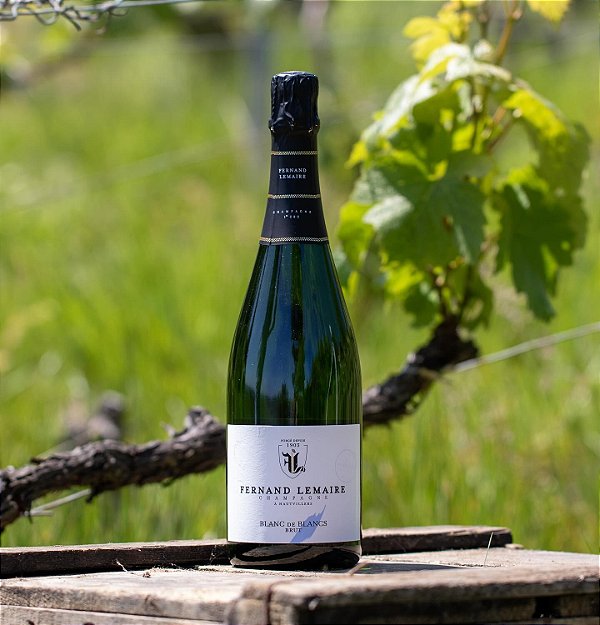 Champagne Fernand Lemaire - Blanc de Blanc 1er Cru - Effervescent Blanc - Nv - 0,75