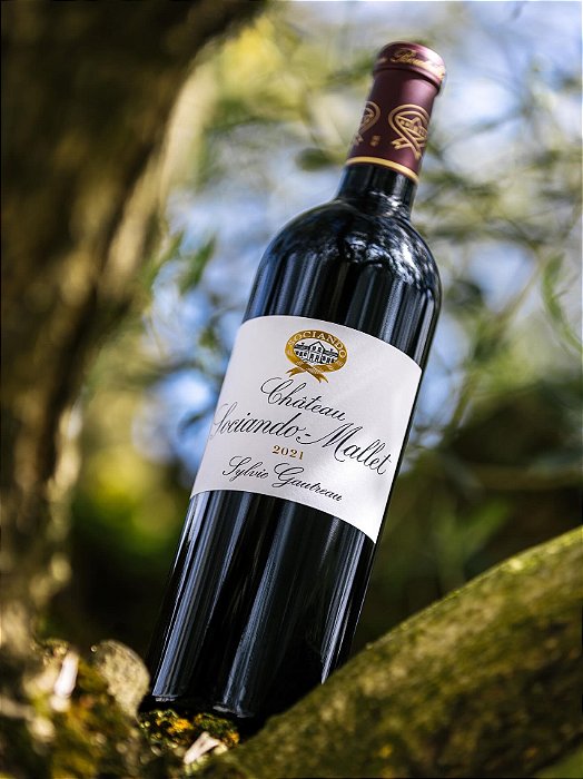 Chateau Sociando Mallet - Chateau Sociando Mallet Aop Haut Medoc - Rouge - 2021 - 0,75