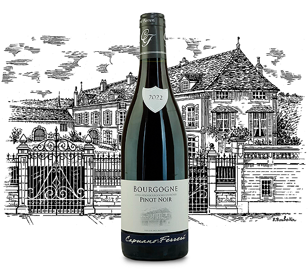 Domaine Capuano Ferreri - Bourgogne Pinot Noir - Rouge - 2023