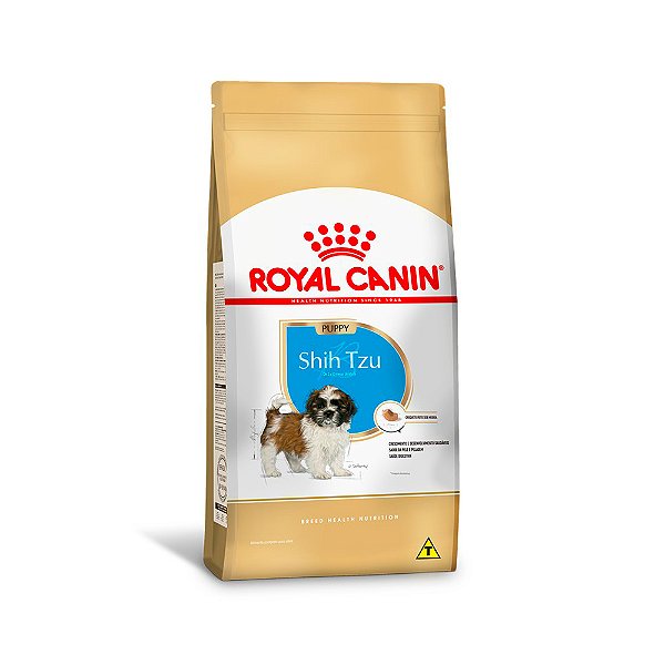 Royal Sbn Shih Tzu Puppy 1kg