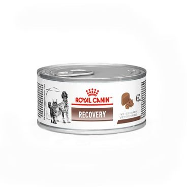 Ração Úmida Royal Canin Recovery 195 g – Cães e Gatos em Recuperação