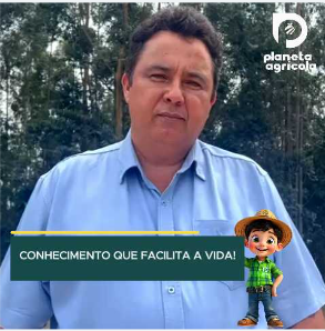 CONHECIMENTO QUE FACILITA A VIDA