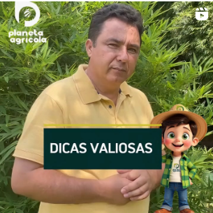 DICAS VALIOSAS