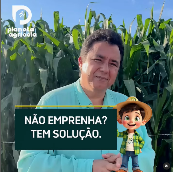 NÃO EMPRENHA, TEM SOLUÇÃO!