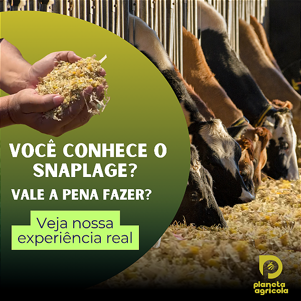 VOCÊ CONHECE O SNAPLAGE?