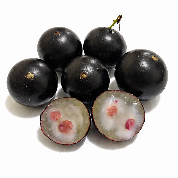 JABUTICABA SABARÁ (Plinia jaboticaba) - Muda com até 60 cm
