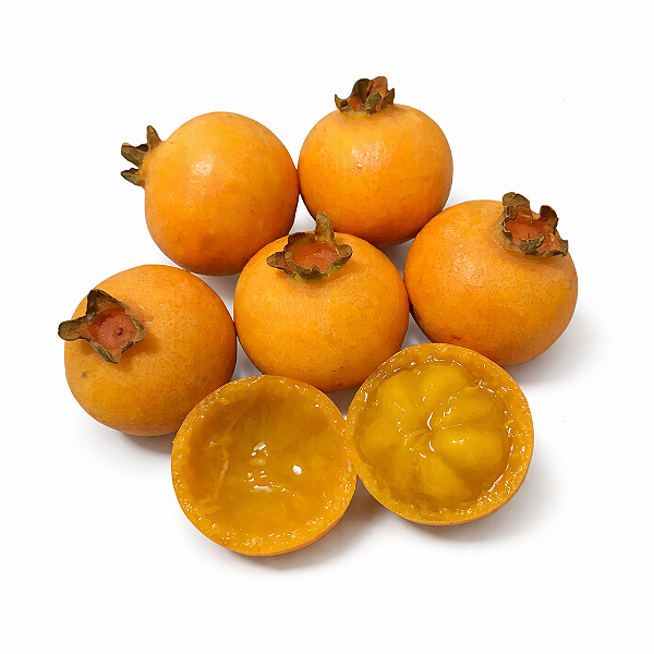 GABIROBA PAULISTA (Campomanesia xanthocarpa) - Muda com até 60 cm