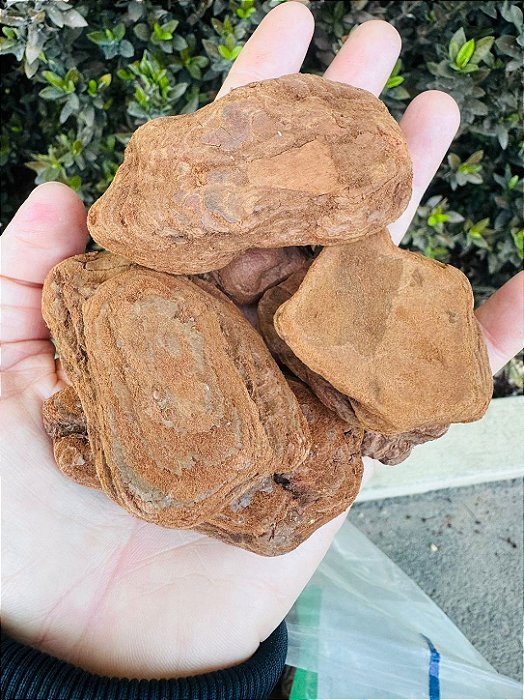 CASCA DE PINUS POLIDA - 1,3 kg
